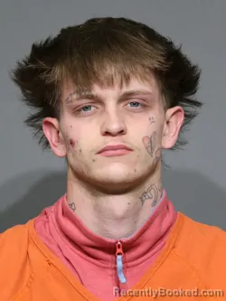 Mugshot of Nathaniel Luke Garrett