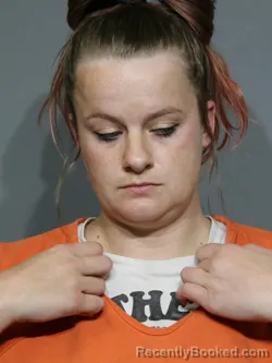 Mugshot of Amy Nicole Costinett