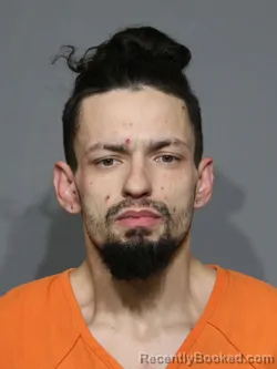 Mugshot of Tyler Steele Workman