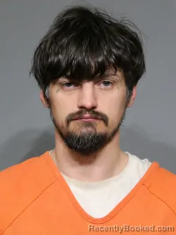 Booking photo from York County, South Carolina