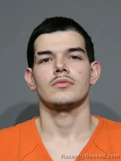 Mugshot of Robert Daniel Jeffries