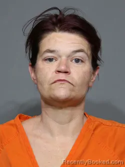 Mugshot of Tonya Denise Hinson