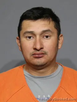 Mugshot of Hernan Enmanuel Hernandez-Orellana