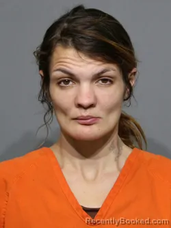 Mugshot of Natasha Ann Ducharme