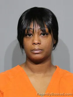 Mugshot of Evelyn Ladorian Jakara Alston