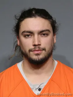 Mugshot of William Anthony Murphy