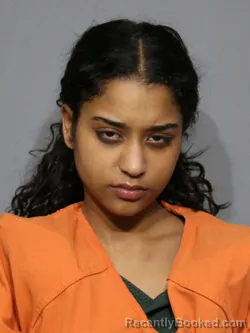 Mugshot of Luigina Paulino