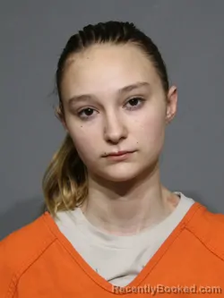 Mugshot of Alaina Francesca Potter