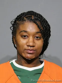 Mugshot of Brianna Jasmine Hayden