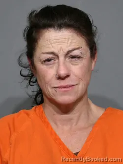 Mugshot of Jennifer Ann Schley