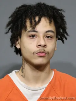 Mugshot of Bryin Neal Watts