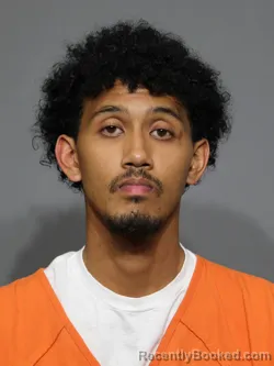 Mugshot of Timothy Van Le