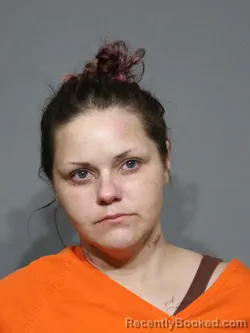 Mugshot of Destiny Amber Salmons