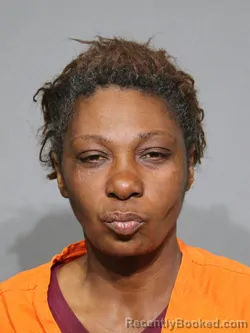 Mugshot of Takisha Nicole Littlejohn