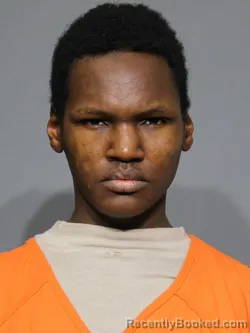 Mugshot of Ameir Gang Chol