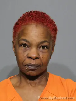 Mugshot of Stephanie Elaine Mobley