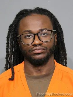 Mugshot of William Leroyce Dozier