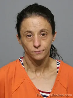 Mugshot of Amy Michelle Nester