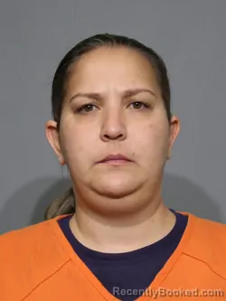 Mugshot of Ivanna Carolina Hurtado