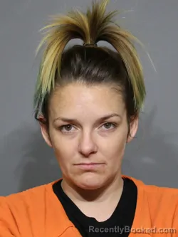 Mugshot of Taylor Lea New