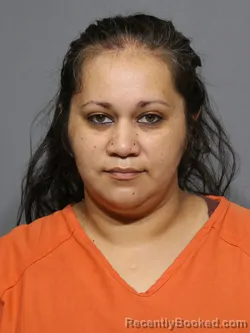 Mugshot of Gabriela Ochoa