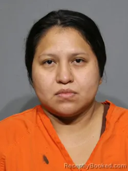 Mugshot of Deisy Alexandra Tenesaca Jativa