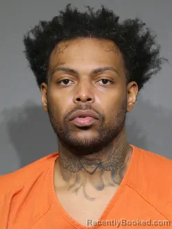 Mugshot of Anthony Stephen Lee