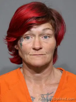 Mugshot of Amanda Marie Brock