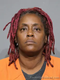 Mugshot of Lashay Nicole Byrd booked in York County, South Carolina on April 3, 2026