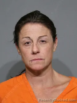 Mugshot of Jennifer Ann Schley booked in York County, South Carolina on April 3, 2026