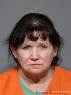 Mugshot of Tina Michelle Burch booked in York County, South Carolina on April 3, 2026