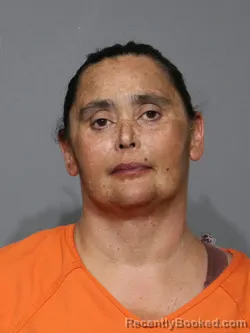 Mugshot of Amy Michelle Henderson booked in York County, South Carolina on April 4, 2026