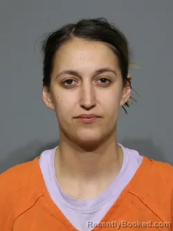 Booking photo from York County, South Carolina
