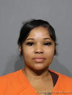 Mugshot of Erin Shaquille Robbs Kilgore booked in York County, South Carolina on April 13, 2026