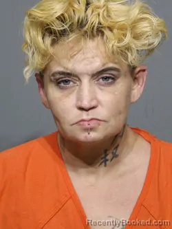 Mugshot of Jennifer Leigh Duncan booked in York County, South Carolina on April 16, 2026