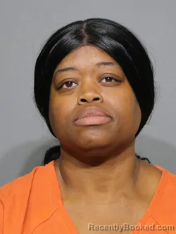 Mugshot of Tomeka N'Cole McClain booked in York County, South Carolina on April 19, 2026