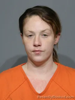 Mugshot of Stephanie Nicole Robertson booked in York County, South Carolina on April 20, 2026