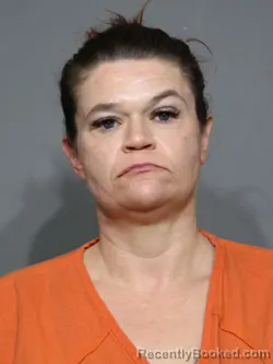 Mugshot of Tonya Denise Hinson booked in York County, South Carolina on April 20, 2026