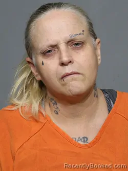 Mugshot of Stephanie Ann Bryant booked in York County, South Carolina on April 21, 2026