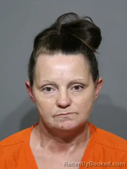 Mugshot of Carol Jean Broom booked in York County, South Carolina on April 22, 2026