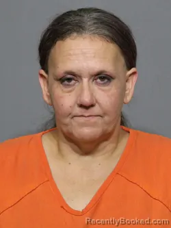 Mugshot of Tonya Lynn Spivey booked in York County, South Carolina on April 25, 2026