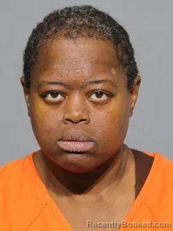 Mugshot of Tomeka N'Cole McClain booked in York County, South Carolina on April 26, 2026