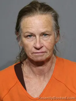 Mugshot of Angelina Barrett Wright booked in York County, South Carolina on April 26, 2026