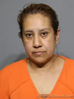 Mugshot of Areli Rivera Ortiz booked in York County, South Carolina on April 27, 2026