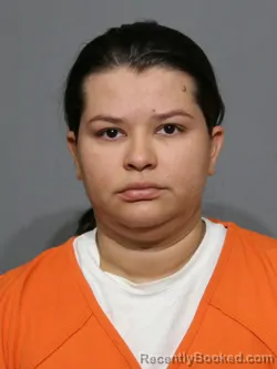 Mugshot of Evelyn Yecenia Estrada-Gonzalez booked in York County, South Carolina on April 27, 2026