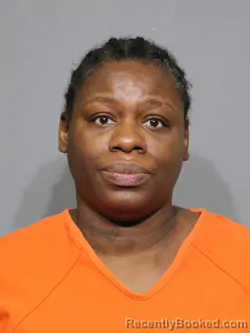 Mugshot of Lauren Kehli Johnson booked in York County, South Carolina on April 27, 2026