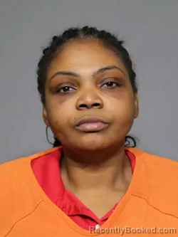 Mugshot of Sade Fanchon Williams booked in York County, South Carolina on April 30, 2026