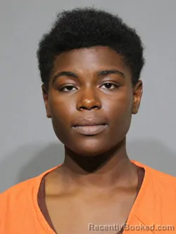 Mugshot of Timya Akilah Maye booked in York County, South Carolina on April 30, 2026
