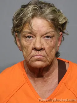 Mugshot of Karen Stewart Seabrooke booked in York County, South Carolina on April 30, 2026