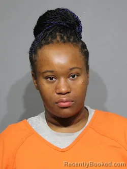 Mugshot of Tahajha Zyretha Wilcox booked in York County, South Carolina on May 4, 2026
